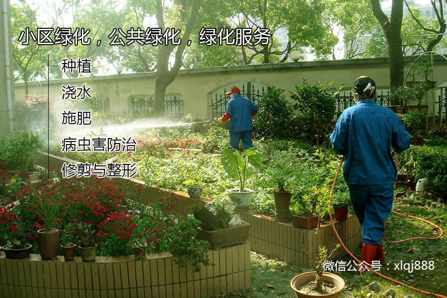 小區(qū)綠化，公共綠化，綠化服務(wù)